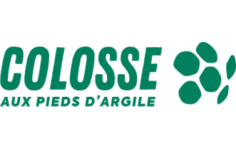 COLOSSE AUX PIEDS D'ARGILE
